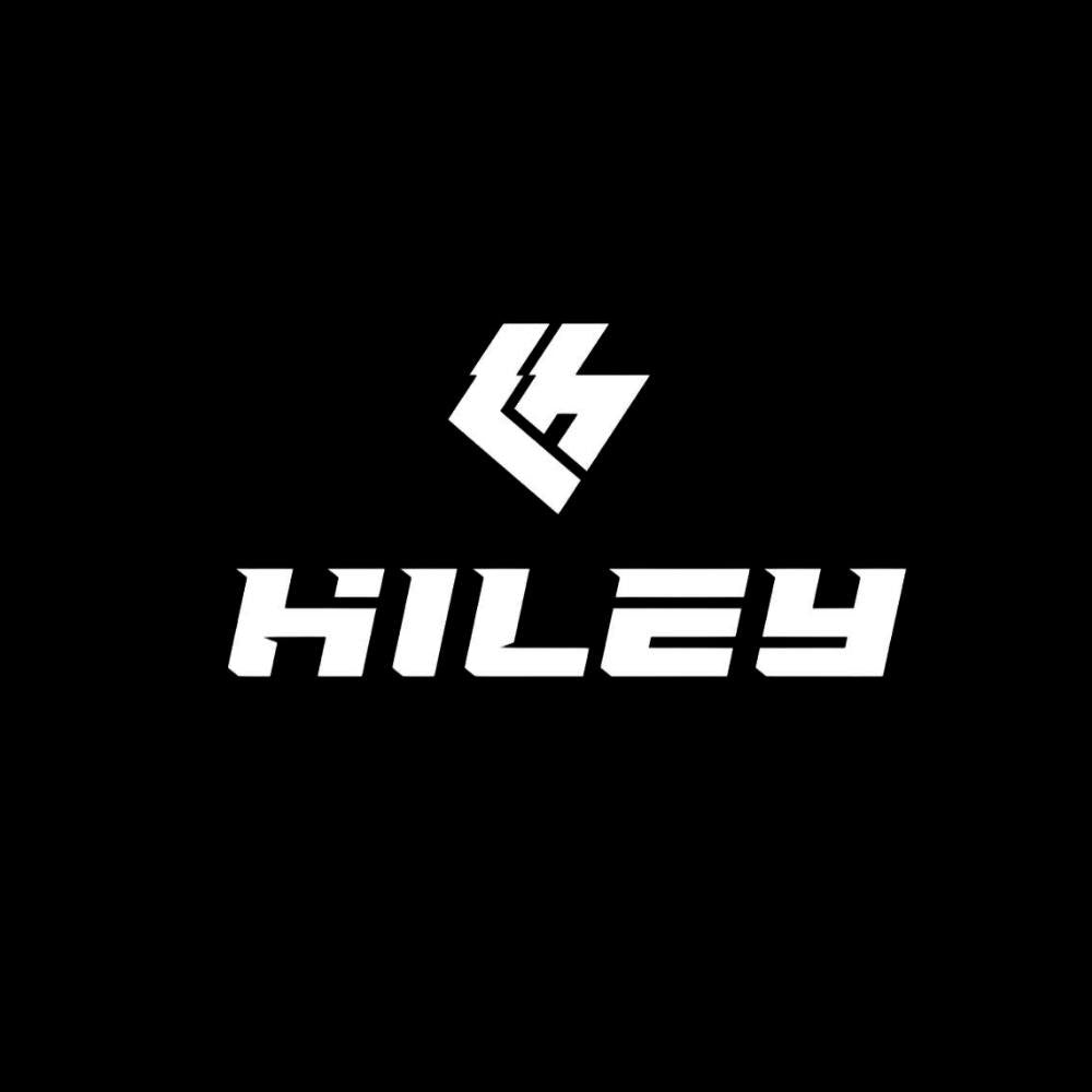 Electric scooters Hiley