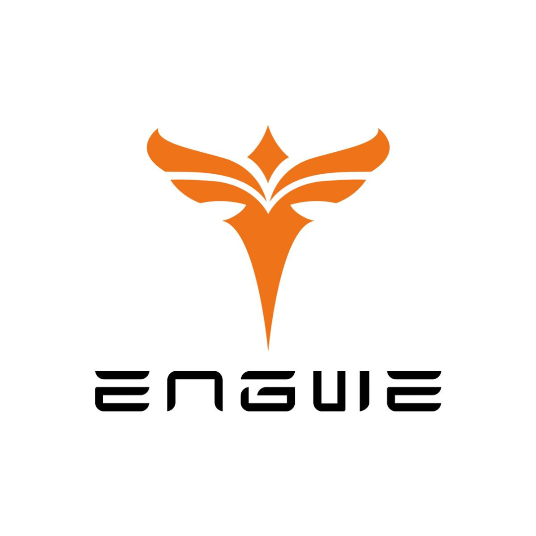 Electric bikes Engwe